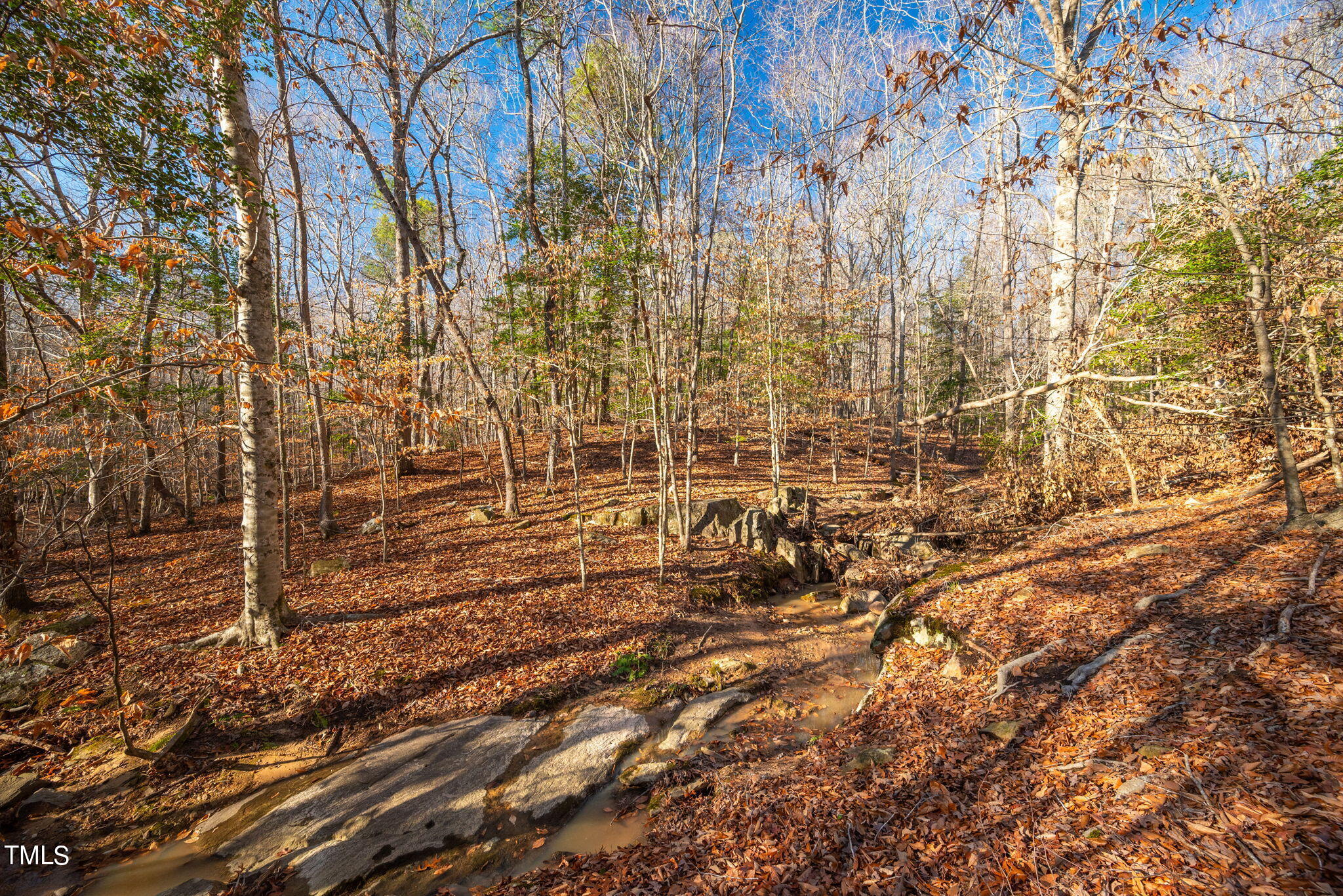 303 Ashley Woods Court