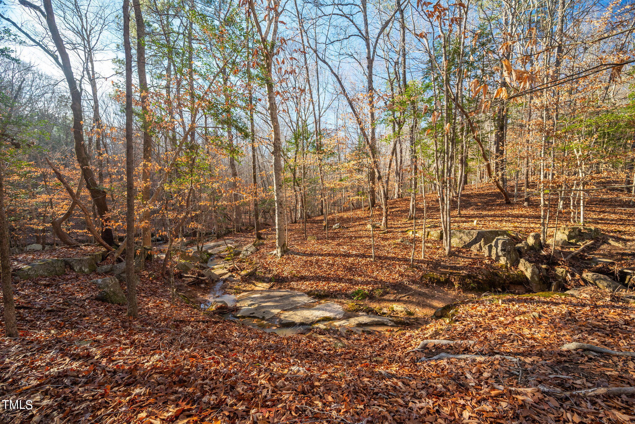 303 Ashley Woods Court