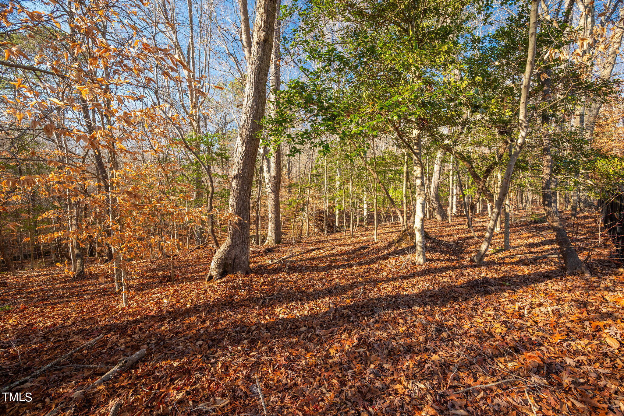 303 Ashley Woods Court