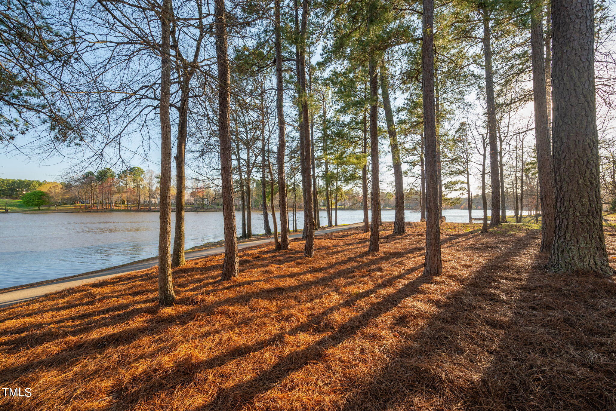 513 Potomac Grove Place