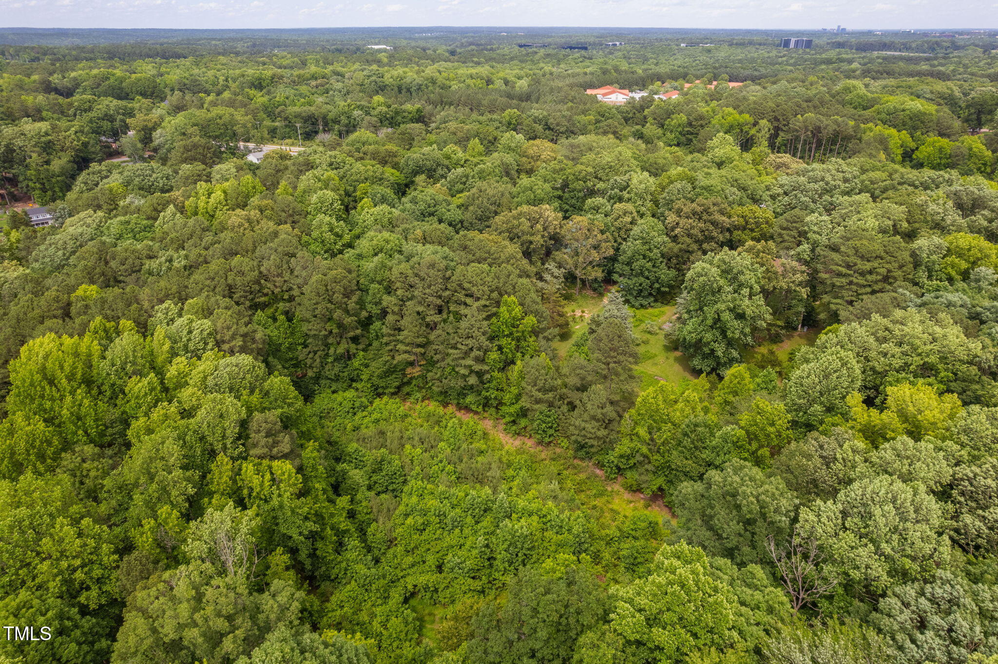 917 Reedy Creek Road