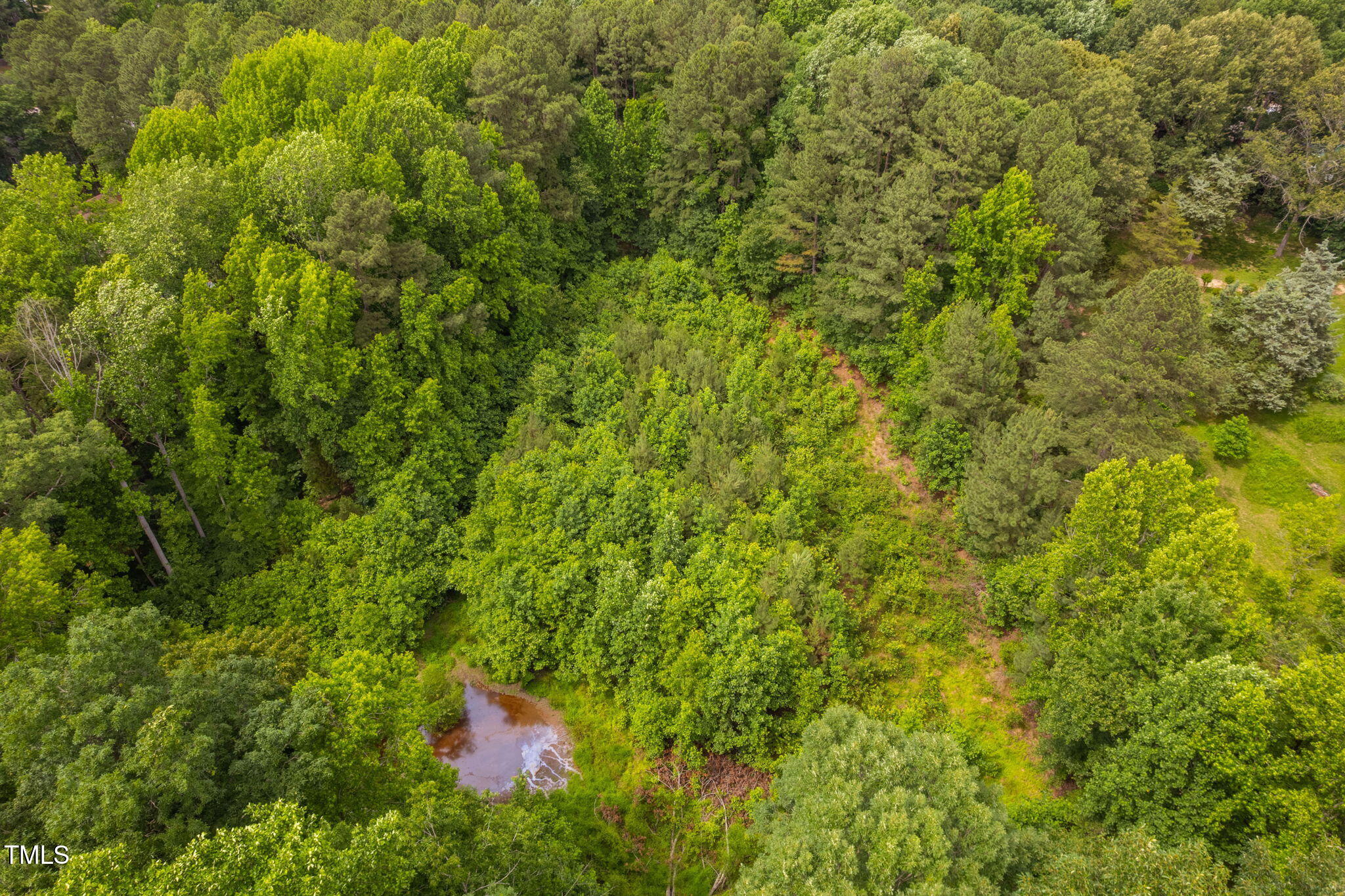 917 Reedy Creek Road