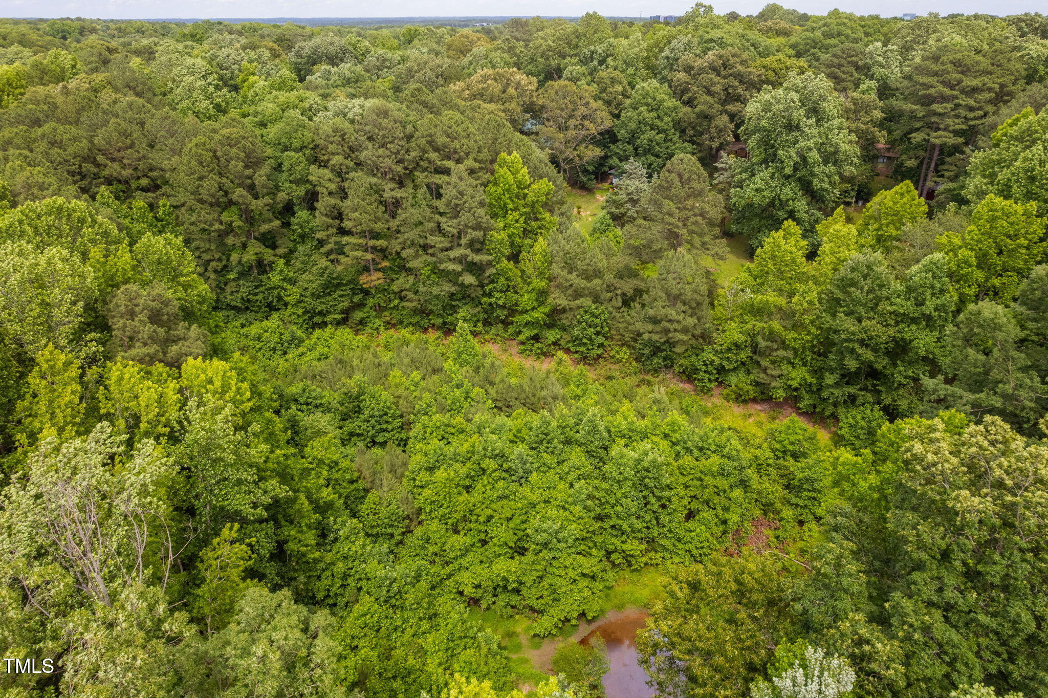 917 Reedy Creek Road