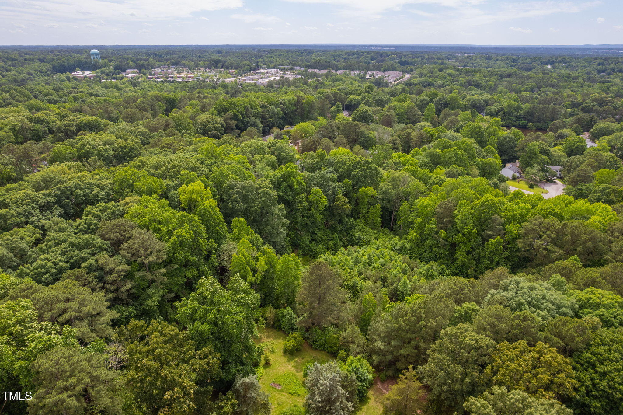 917 Reedy Creek Road