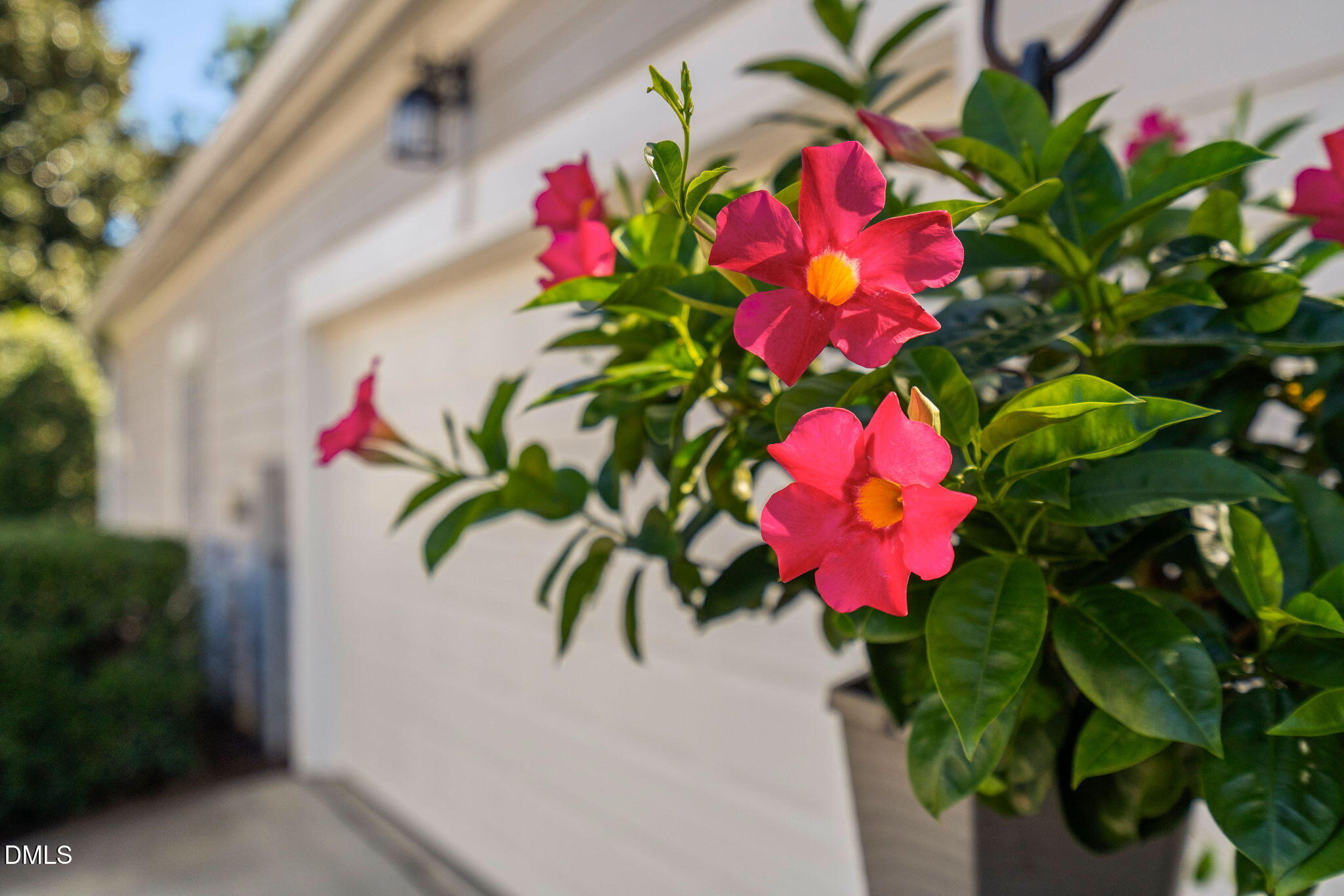 103 Landser Court