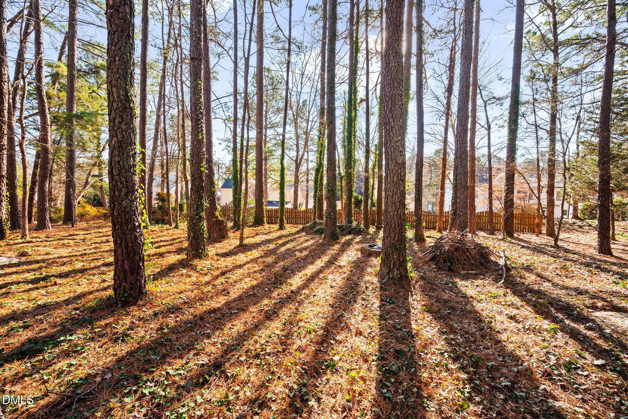 402 Lippershey Court