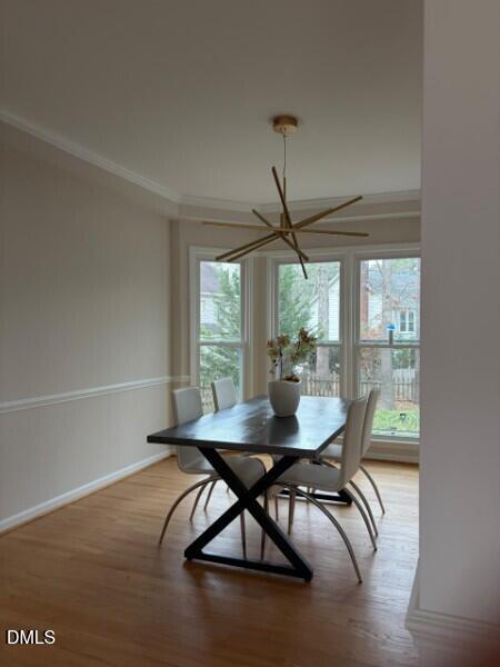 103 Hidden Bluff Lane