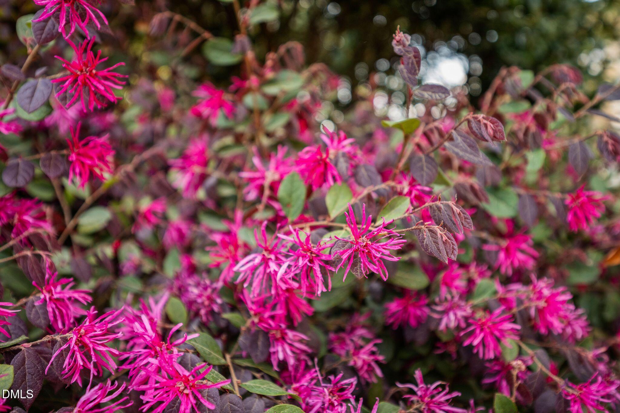 202 Lantern Ridge Lane