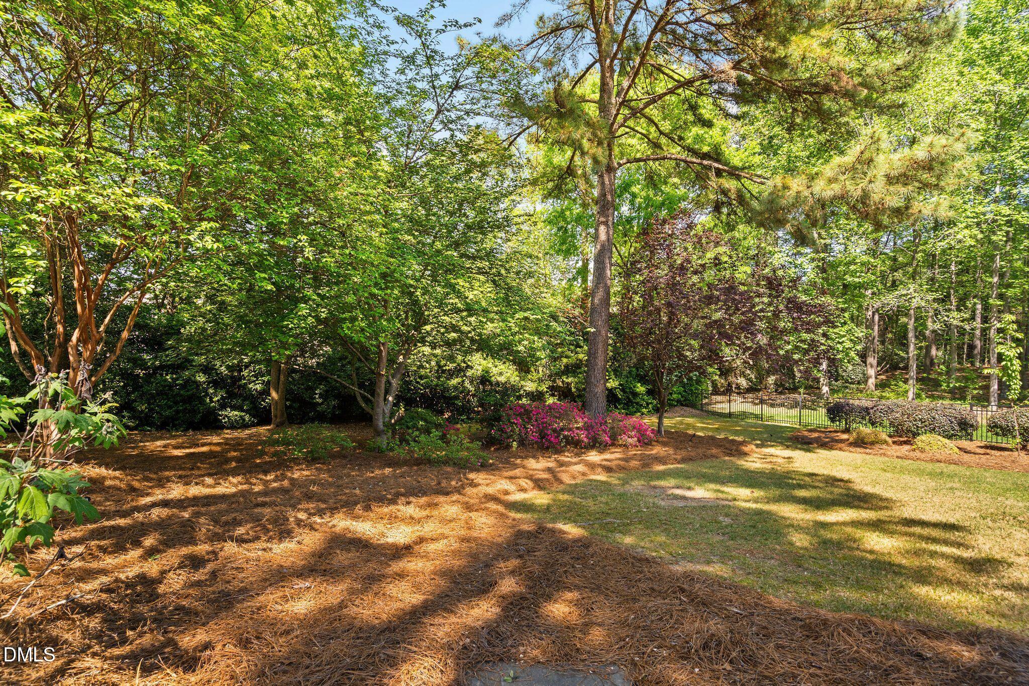 106 Caviston Way