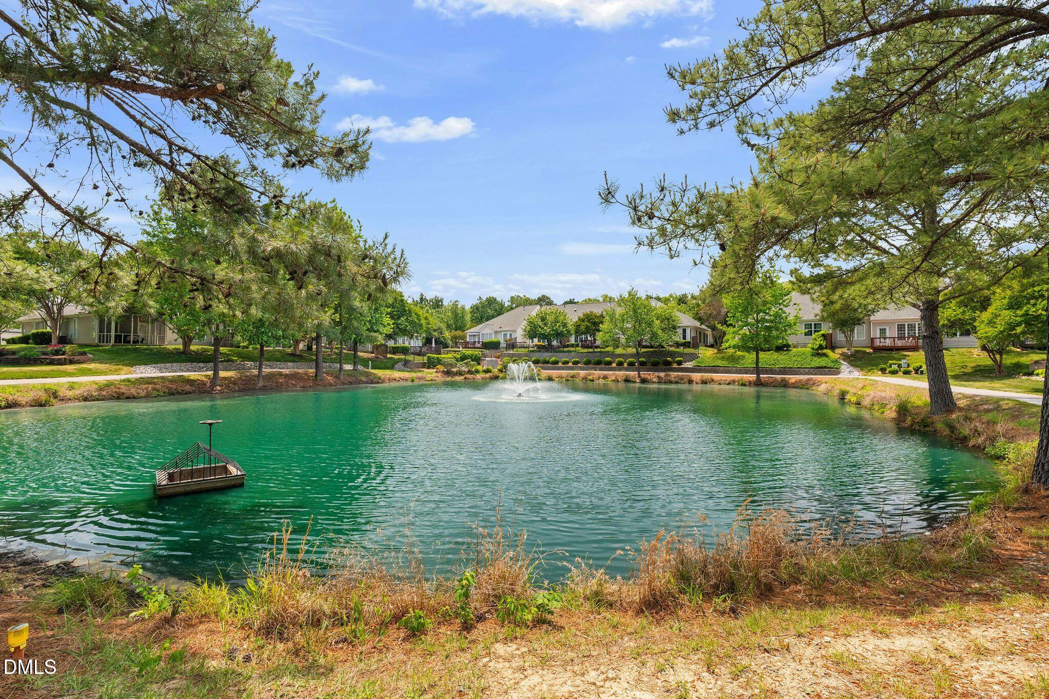 431 Sawgrass Hill Court