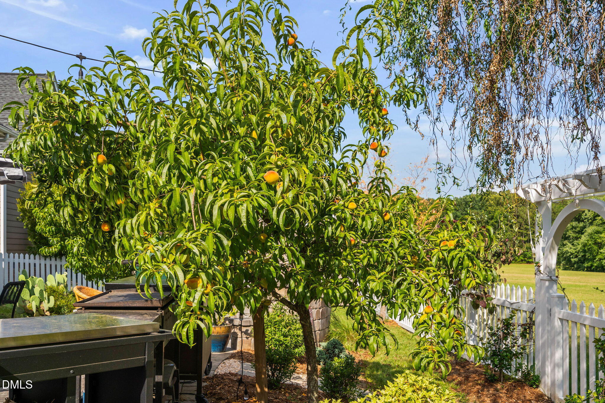 122 Poplar Branch Lane