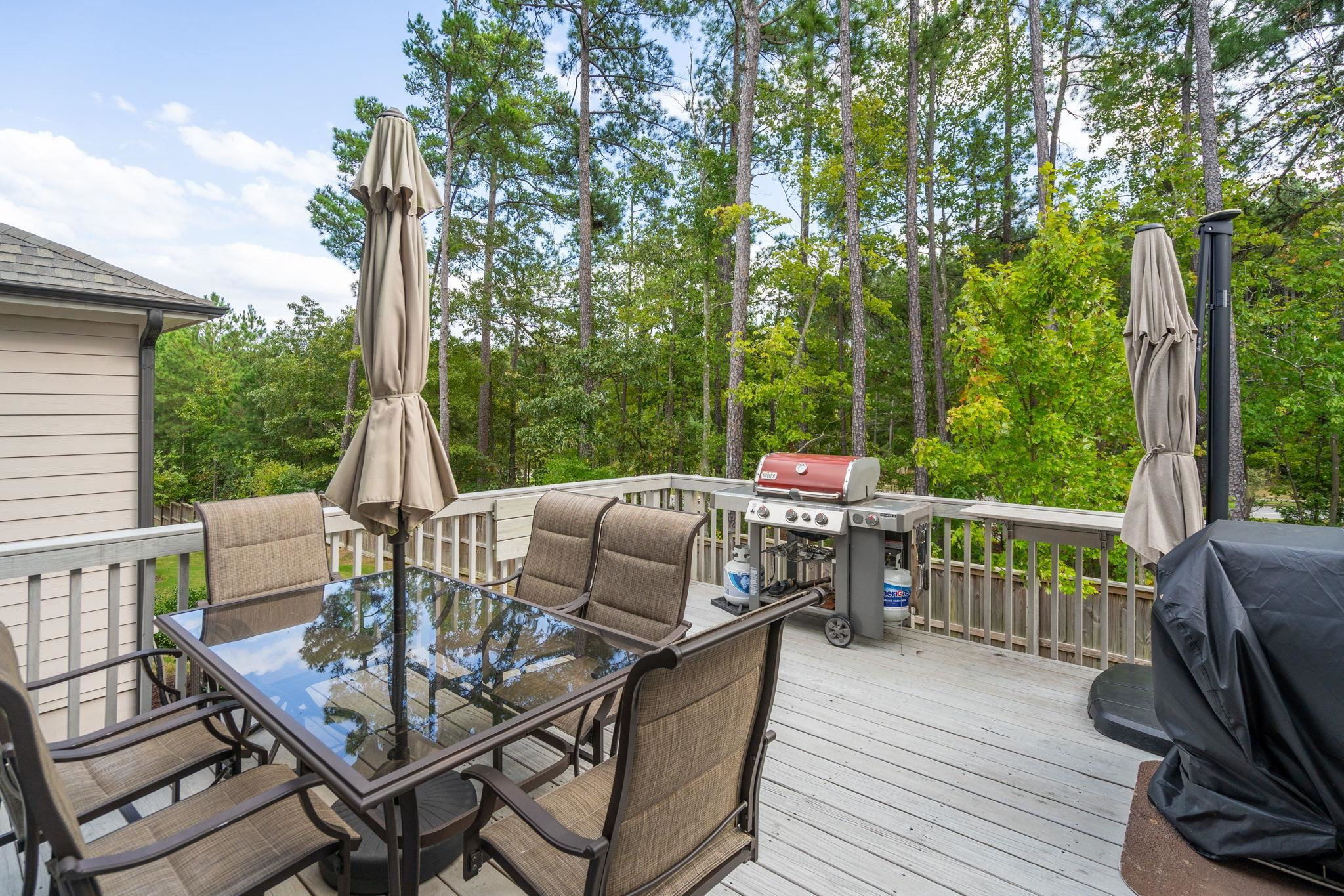 317 Baronet Bend Drive