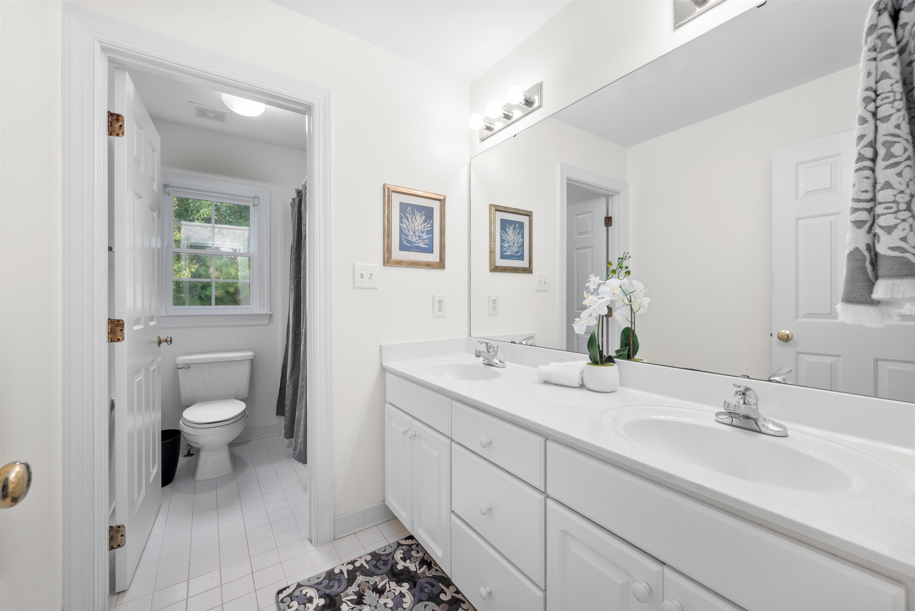 507 Oak Island Drive