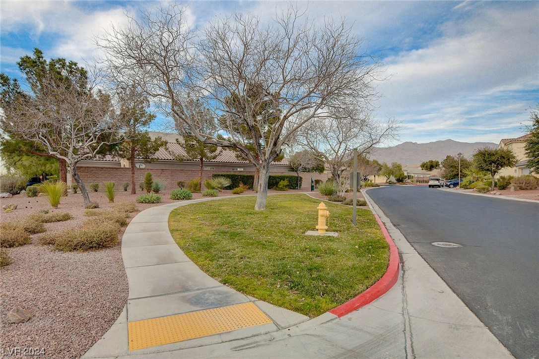 8909 Martin Downs Place