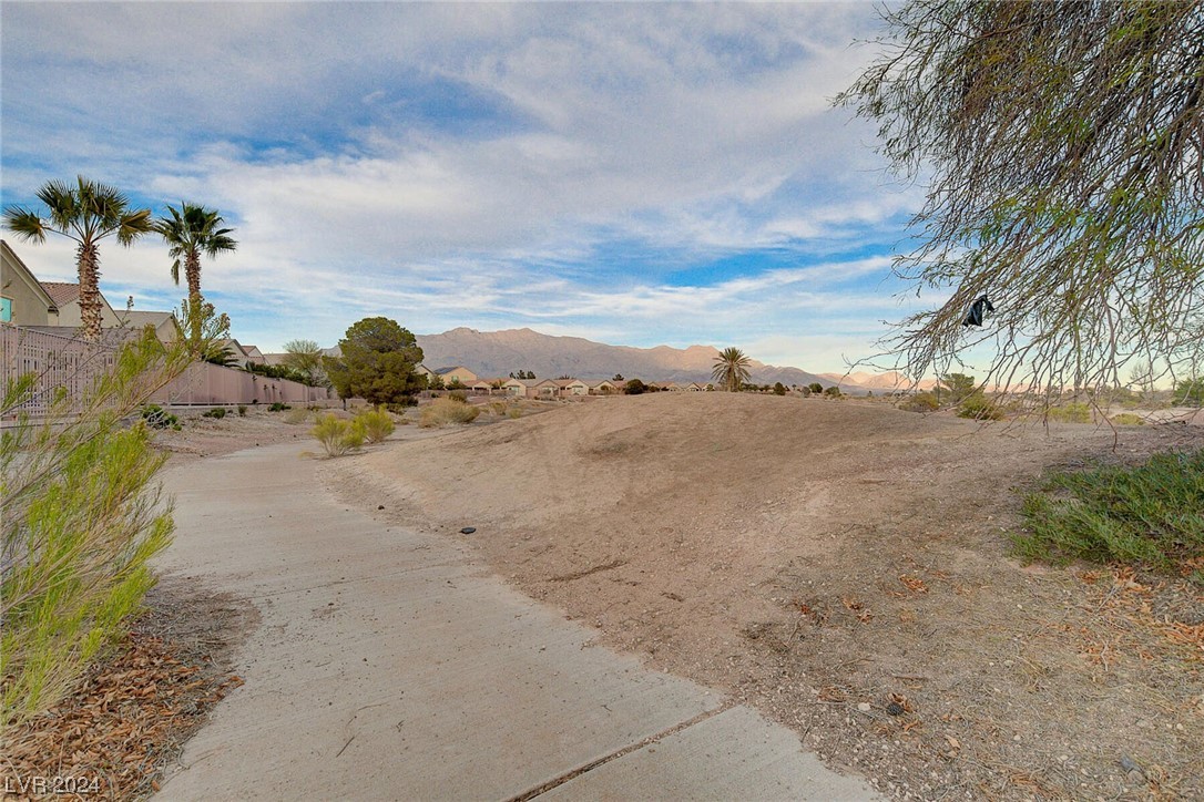 8909 Martin Downs Place