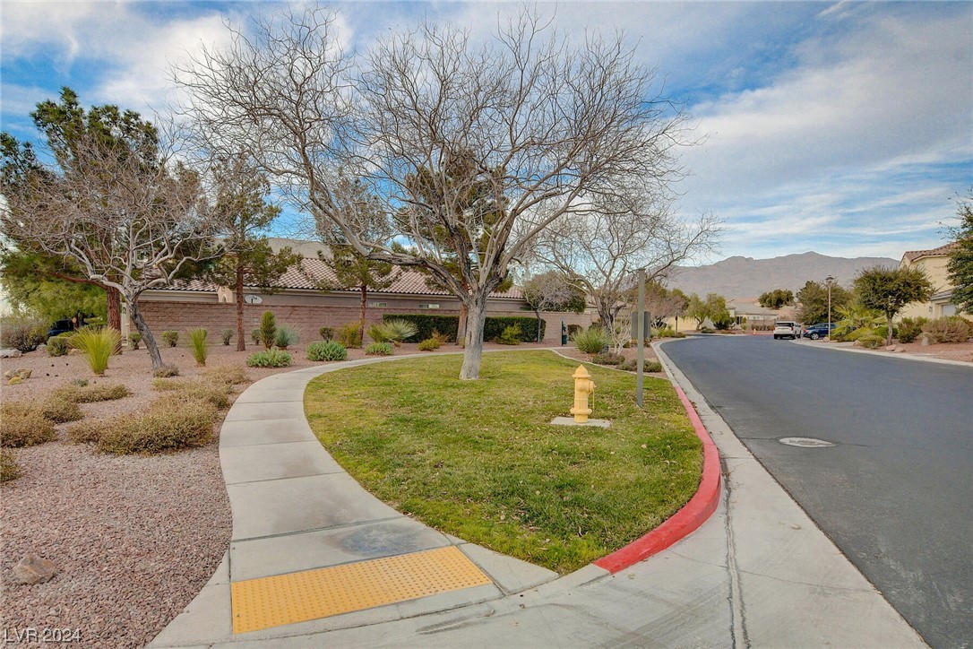 8909 Martin Downs Place