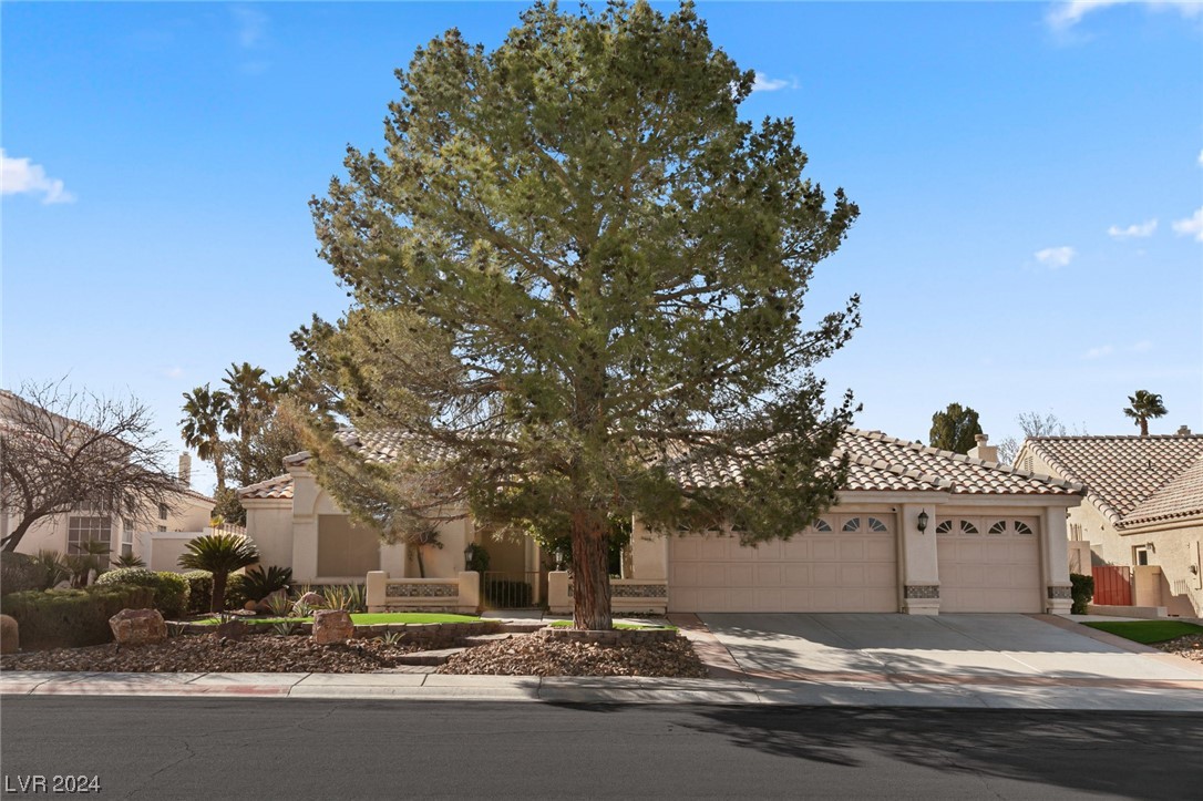 2201 MADAGASCAR Lane
