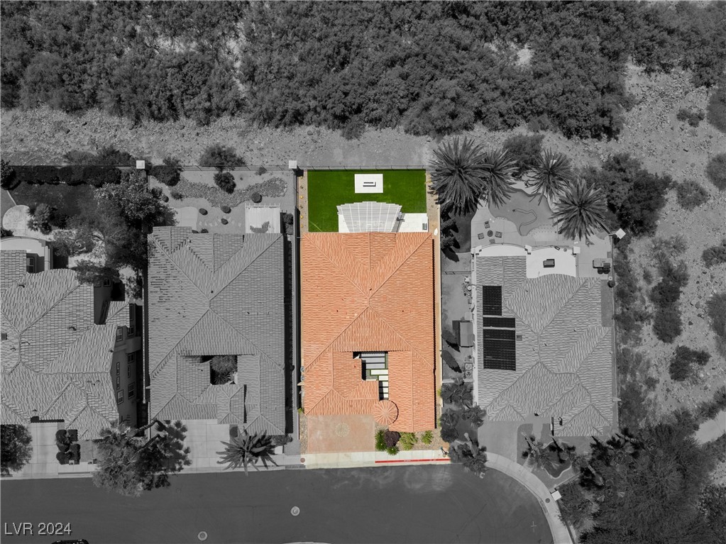 1207 PANINI Drive
