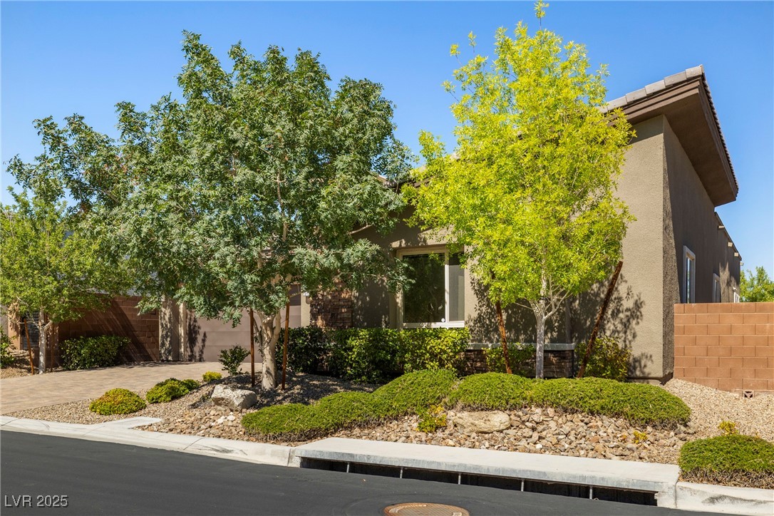 6056 WILLOW ROCK Street