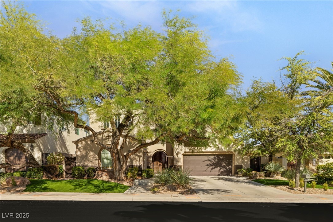 3091 Red Springs Drive