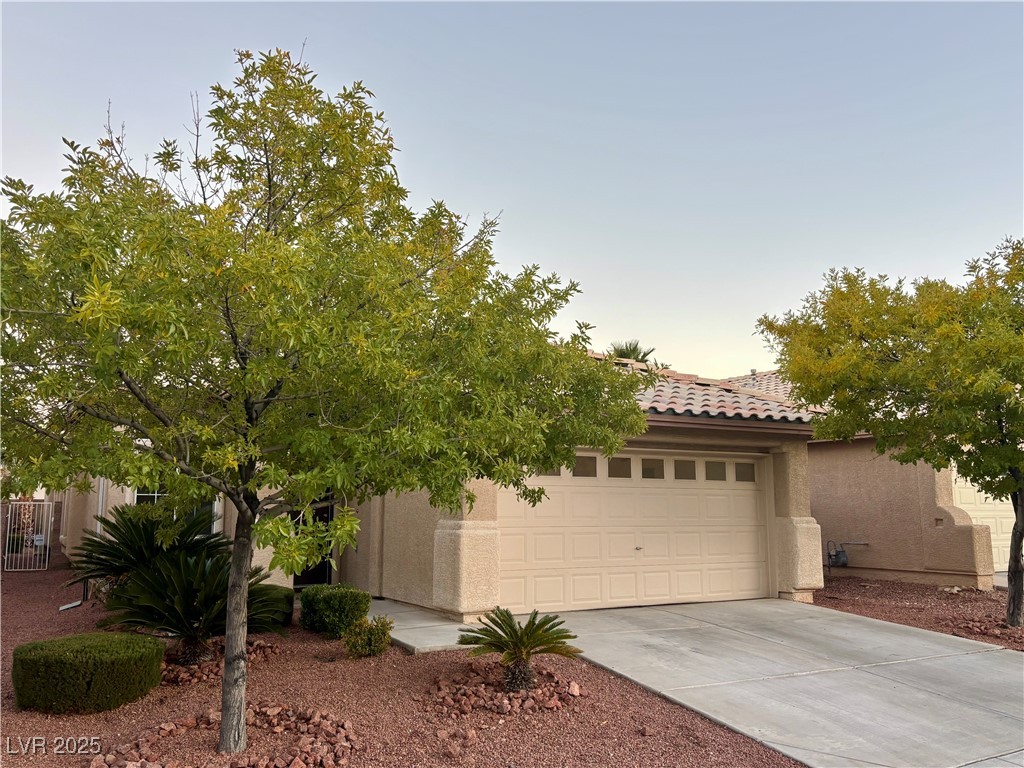 1020 WINDHOOK Street