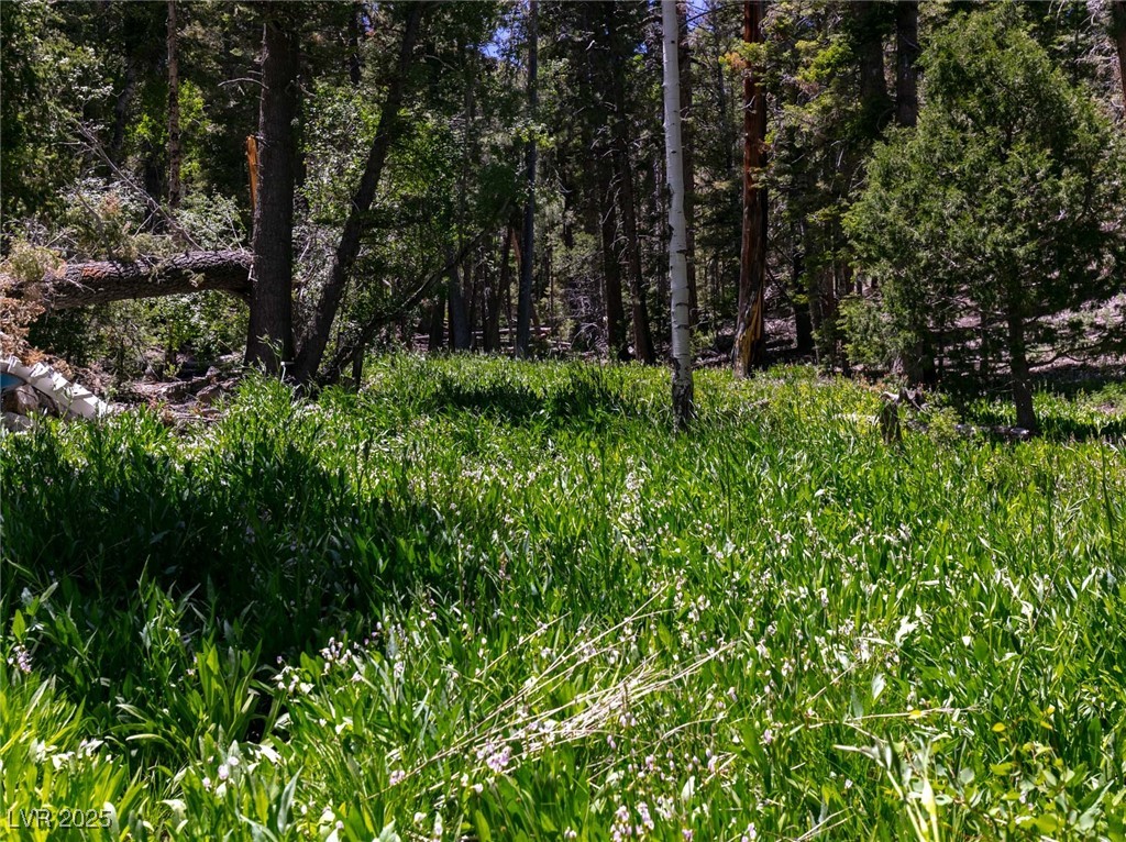 4085 Cougar Ridge Trail