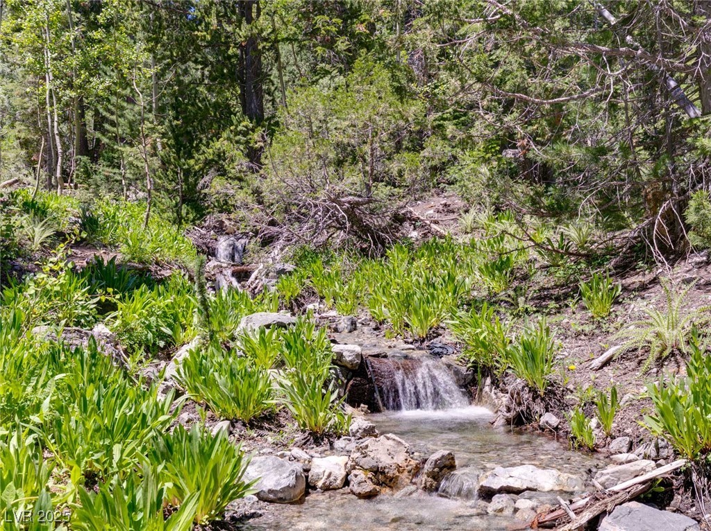 4085 Cougar Ridge Trail