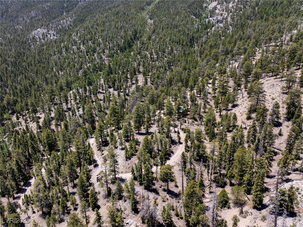 4085 Cougar Ridge Trail