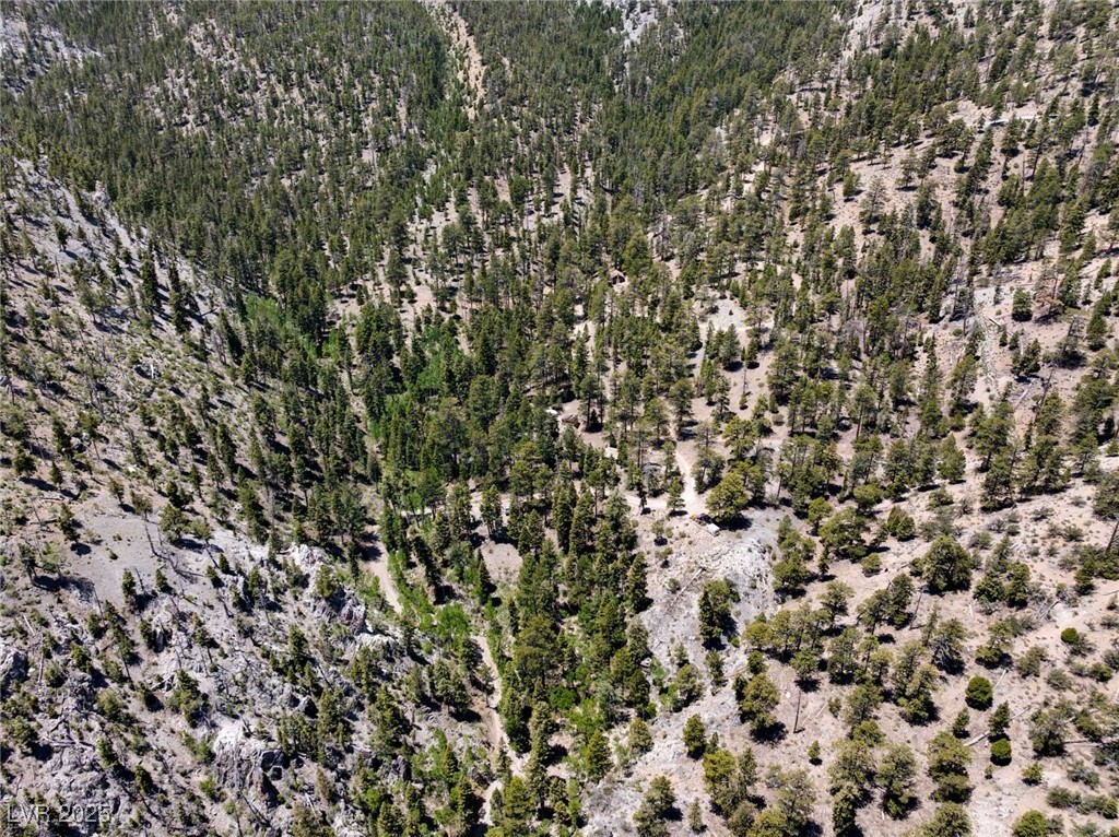 4085 Cougar Ridge Trail
