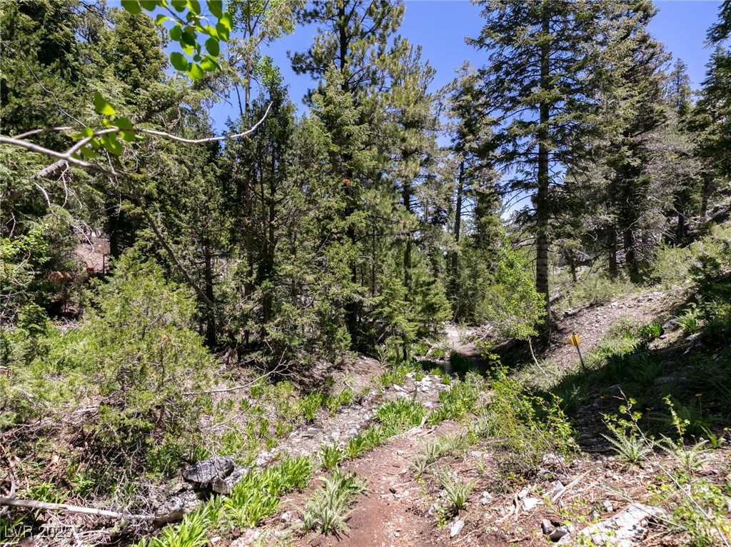 4085 Cougar Ridge Trail