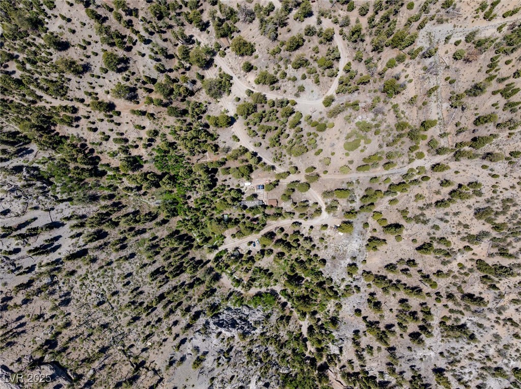 4085 Cougar Ridge Trail