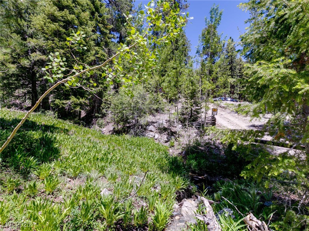 4085 Cougar Ridge Trail
