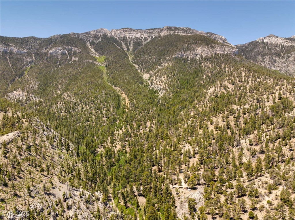 4085 Cougar Ridge Trail