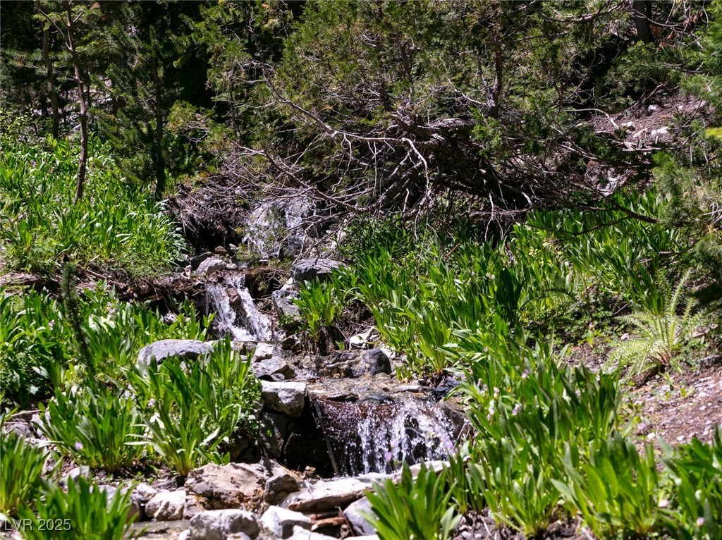 4085 Cougar Ridge Trail