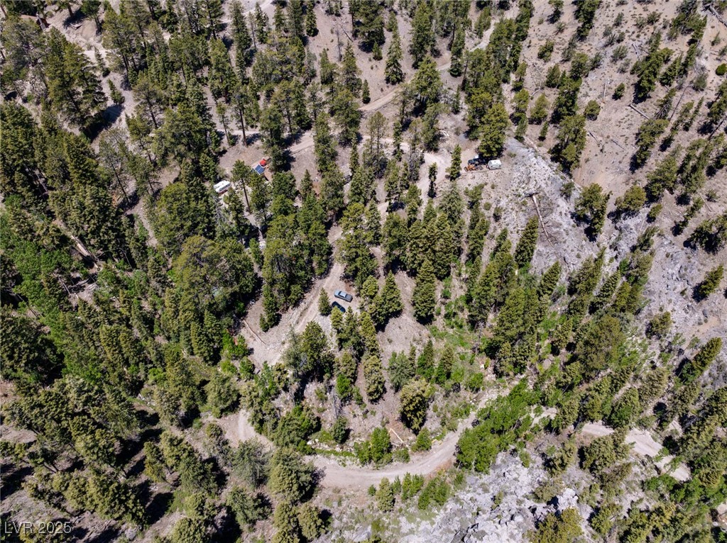 4085 Cougar Ridge Trail