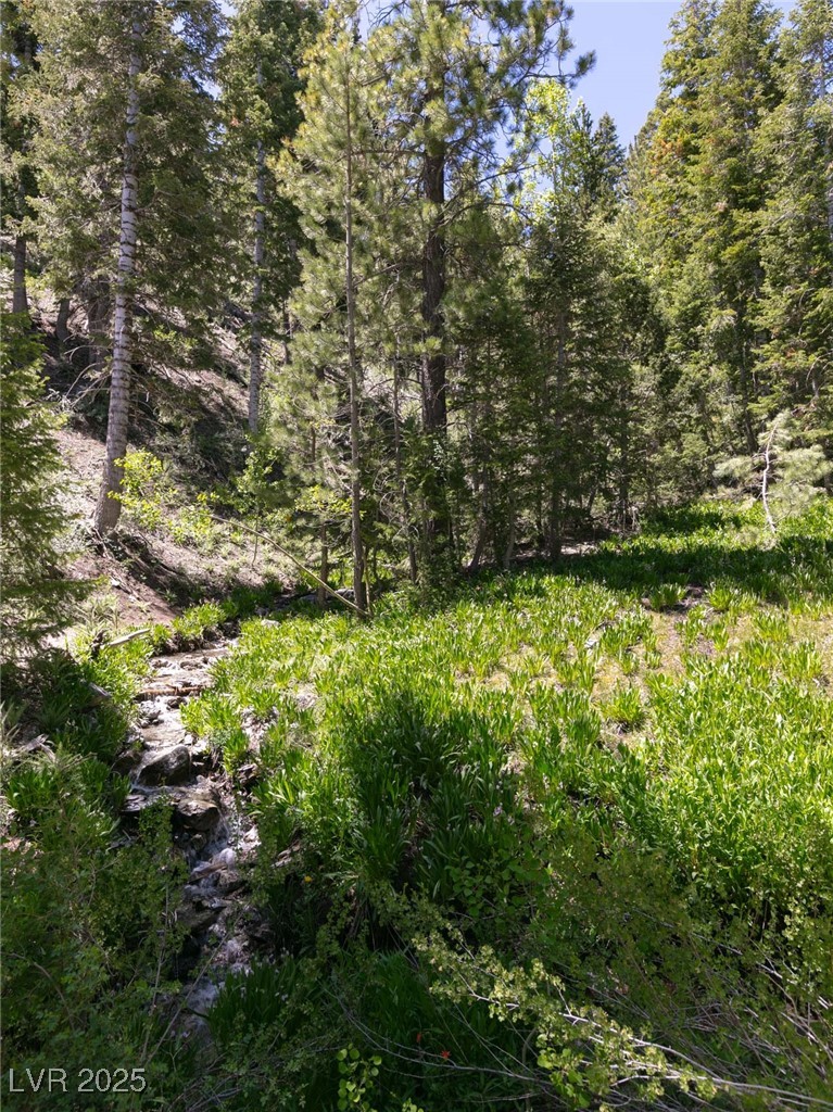 4085 Cougar Ridge Trail