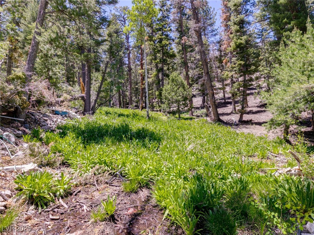 4085 Cougar Ridge Trail