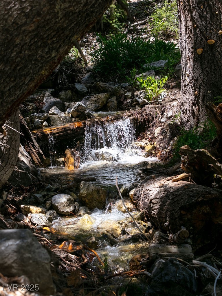 4085 Cougar Ridge Trail