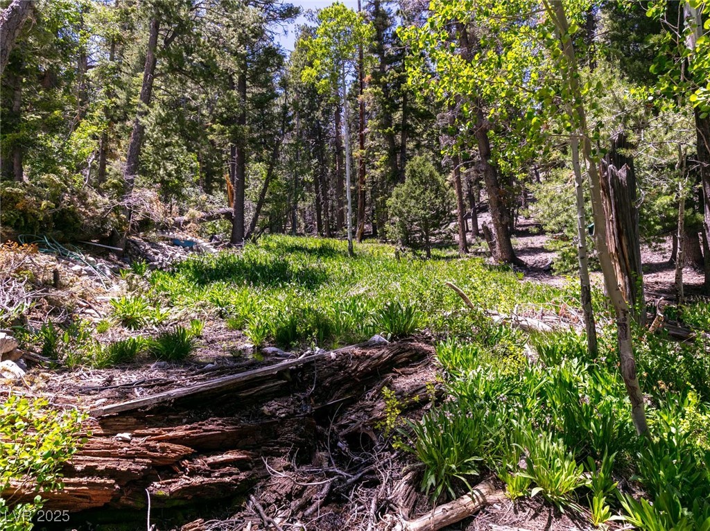 4085 Cougar Ridge Trail