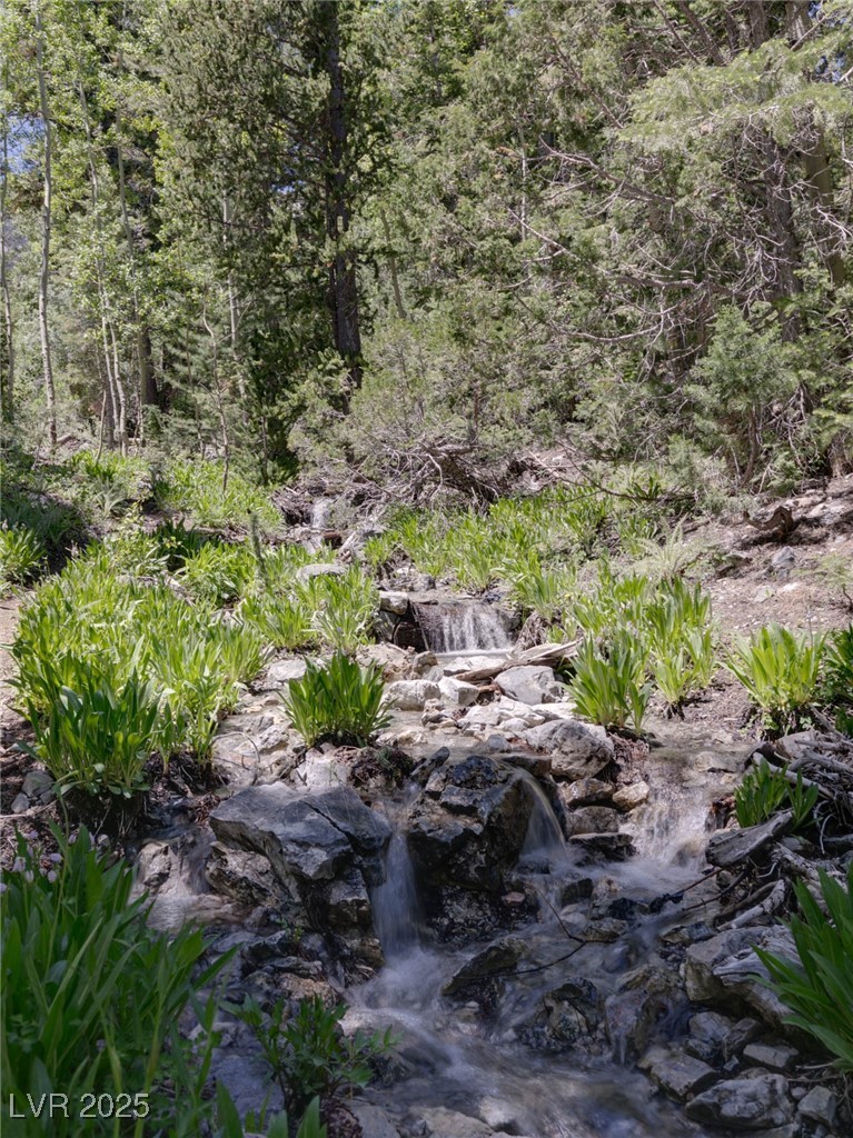 4085 Cougar Ridge Trail