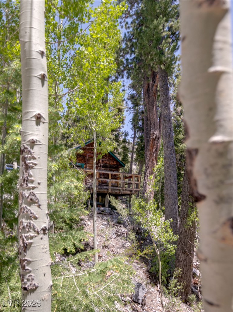 4085 Cougar Ridge Trail
