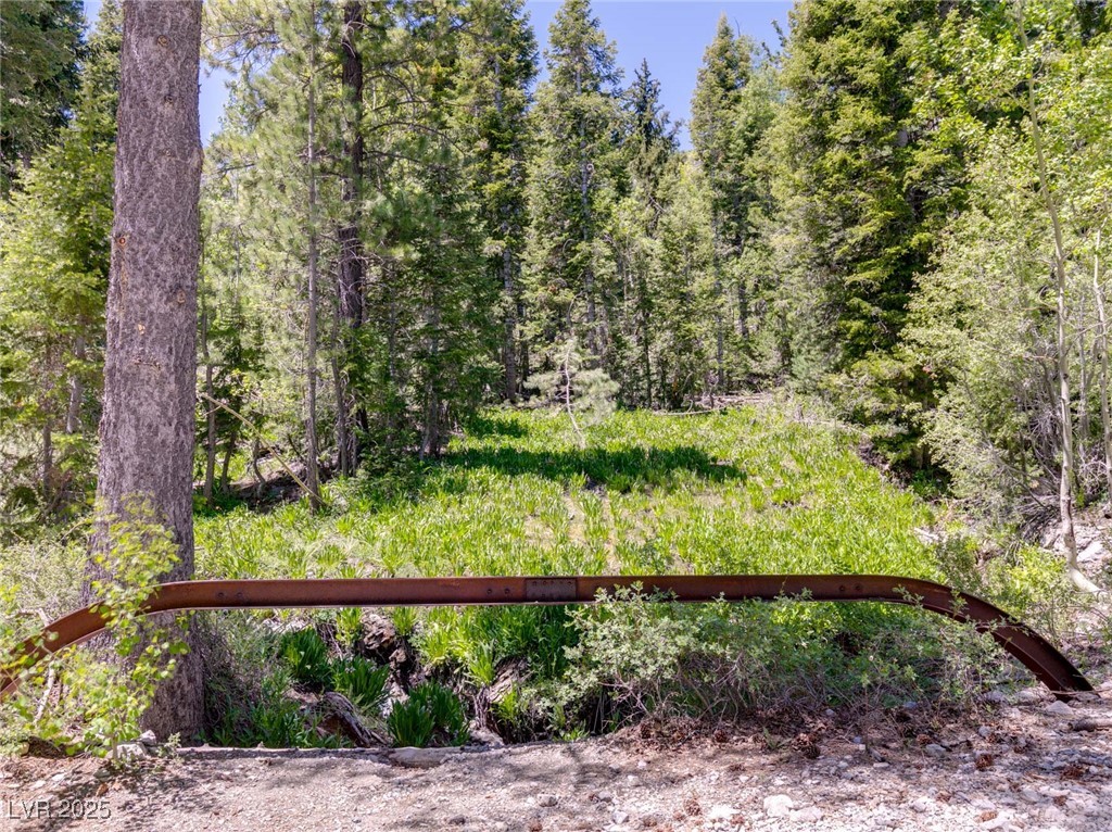 4085 Cougar Ridge Trail