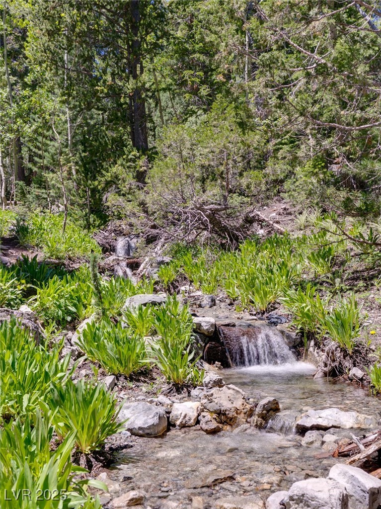 4085 Cougar Ridge Trail