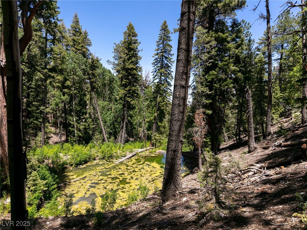 4085 Cougar Ridge Trail
