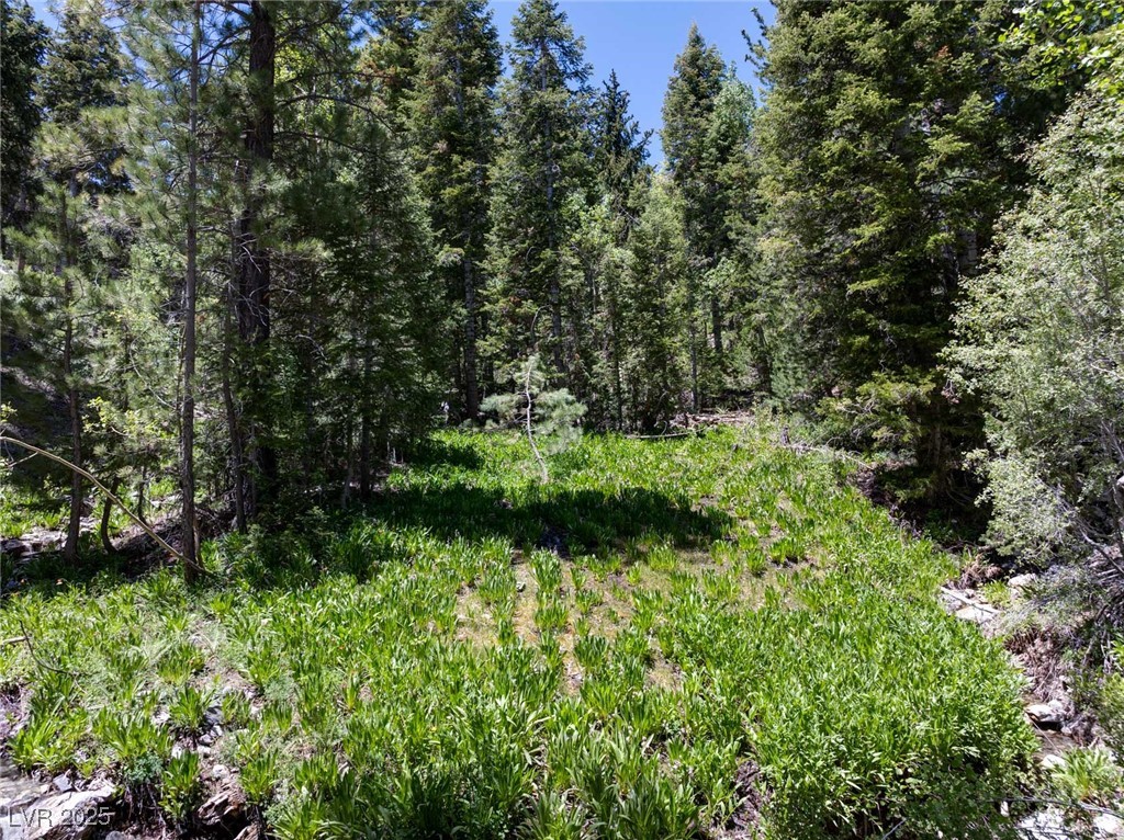 4085 Cougar Ridge Trail