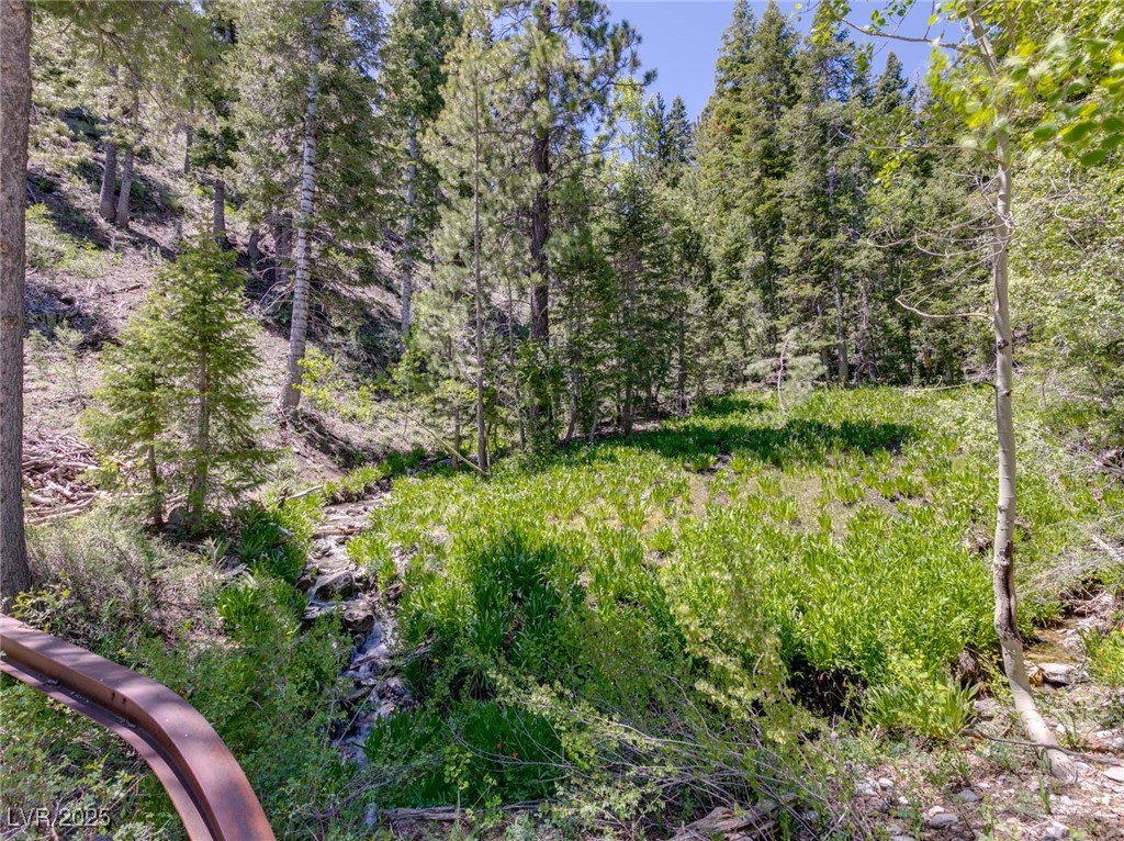 4085 Cougar Ridge Trail