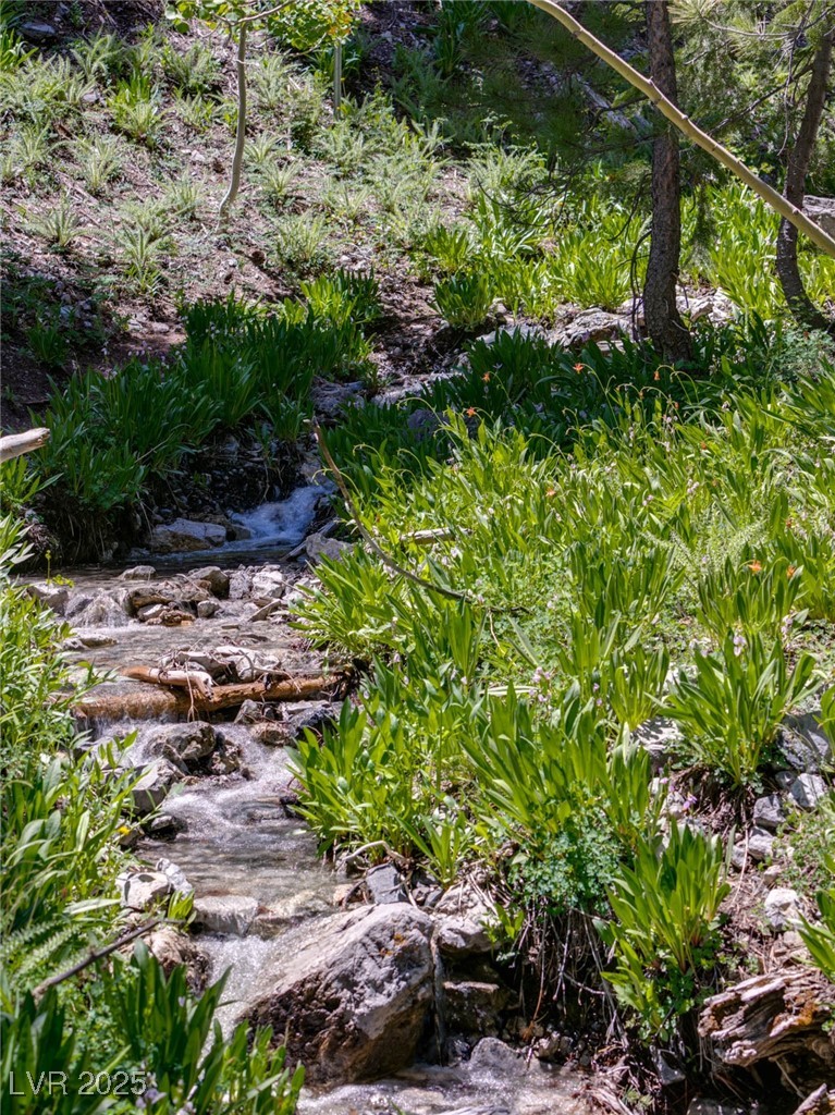 4085 Cougar Ridge Trail