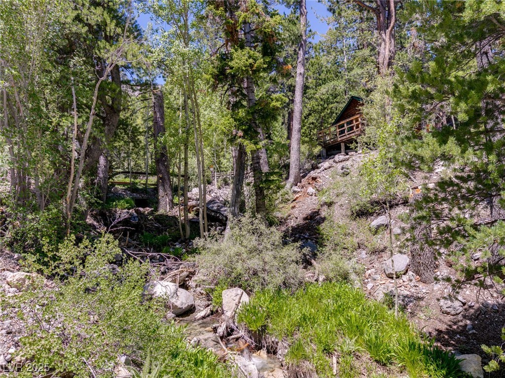 4085 Cougar Ridge Trail