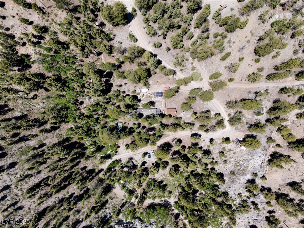 4085 Cougar Ridge Trail