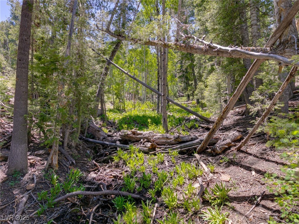 4085 Cougar Ridge Trail